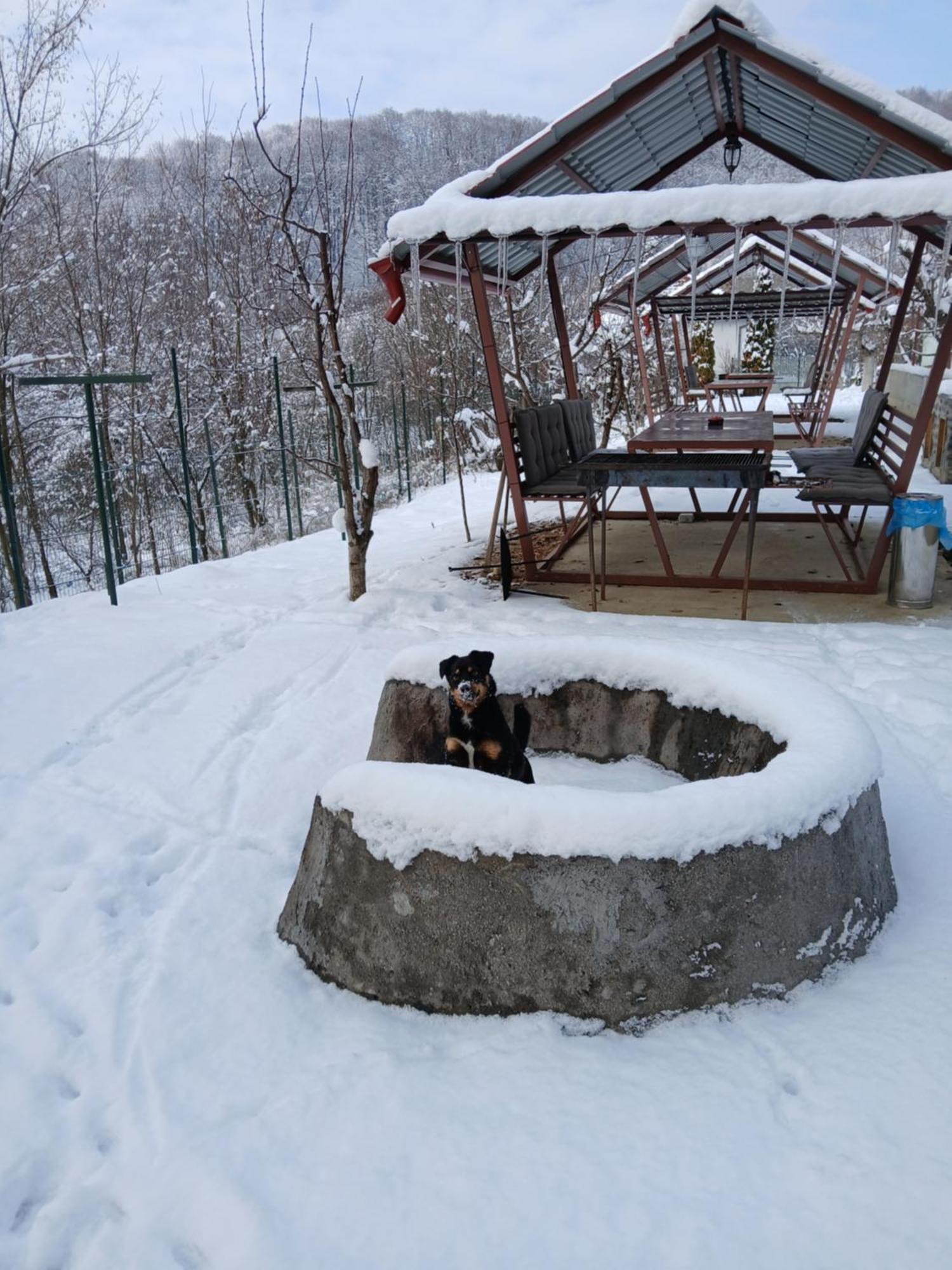 Perla Argesului, Ciubar, Piscina, Lift, Gratar, Cabana, Pensiuni, Hotel Cazare Transfagarasan Curtea De Arges Albestii de Arges Esterno foto